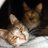 CaitlynAnn_1993's profile image