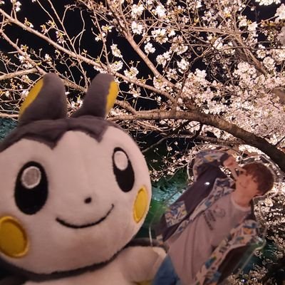 nskdmami's profile picture. 今村隼人、NEWS、薗一輝