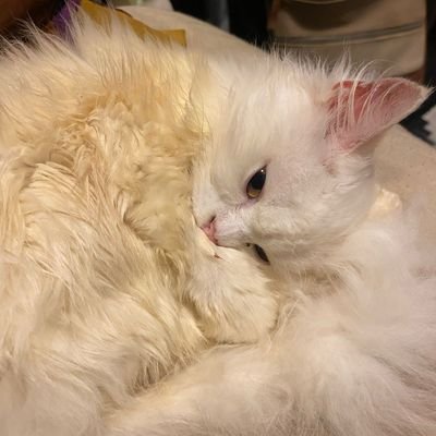 Najat895889's profile picture. ESFJ