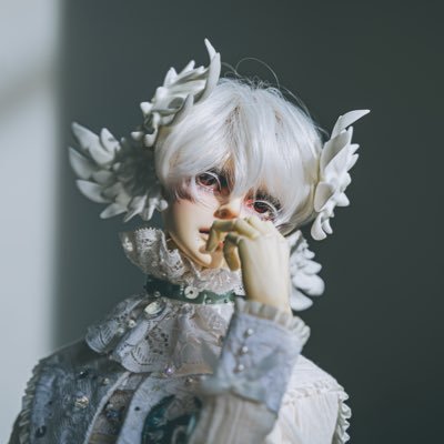 miabee_doll's profile picture. BJD ㅣ ADULT ㅣ FUB FREE ㅣ #미아옷장