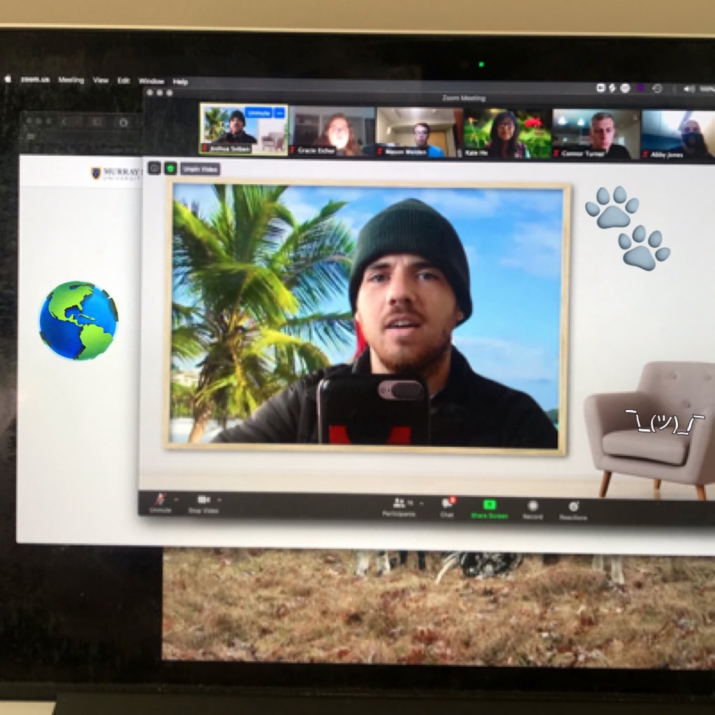 BossOfBase's profile picture. Think harder