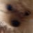 goodex777's profile image