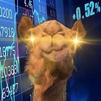 Camel Finance YT⚡️ (@finance__camel_) 's Twitter Profile