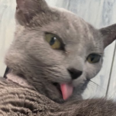 ロキさんのプロフィール画像