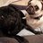 PugsIreland's profile image