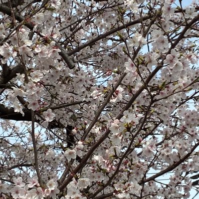 tagpen_0619's profile picture. 