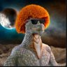Cruzan_Trader's profile picture. Crypto Investor / Trader / Forex / Options / Stocks