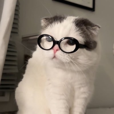 pyrmacaron Profile Picture