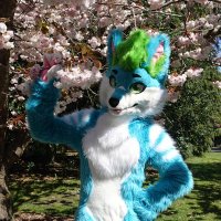 Flux 🔜 FWA (@fluxfoxx_) 's Twitter Profile Photo Flux 🔜 FWA (@fluxfoxx_) 's Twitter Profile Photo