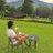 reddy_jeev's profile image