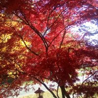 Poligone17 (@poligone17) 's Twitter Profile