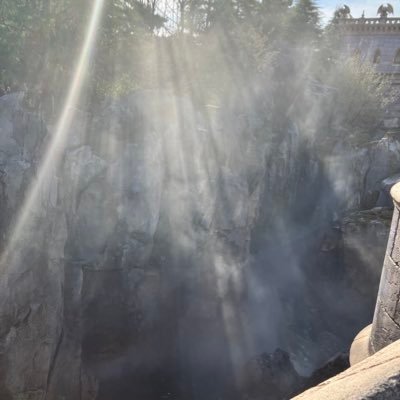 hina20071103's profile picture. 🎹🐰