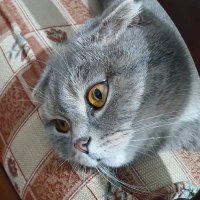 Oğuz (@ouz862588257838) 's Twitter Profile Photo