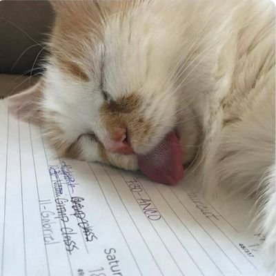 mizteller's profile picture. sag rising