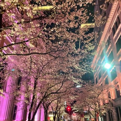 nicouklife's profile picture. 