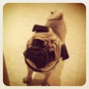 Joan Paris - @joan_paris - Twitter