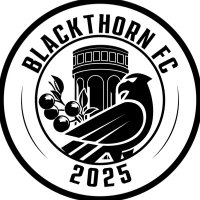 Blackthorn FC (@blackthornfc) 's Twitter Profile