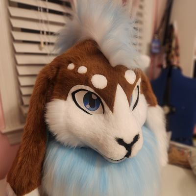 Zapkatさんのプロフィール画像