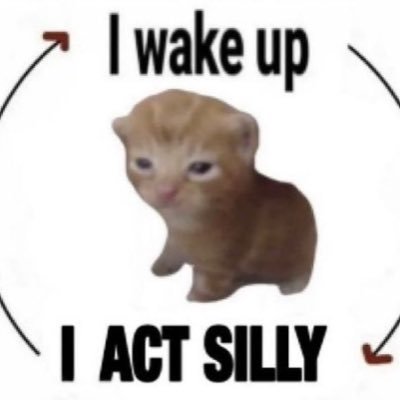 kong2882's profile picture. 하로 에브리냥