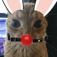 Janik (@janik271) 's Twitter Profile Photo Janik (@janik271) 's Twitter Profile Photo