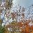 OkunevaDar21257's profile image