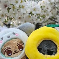 mura입니다 (@hmurazaki) 's Twitter Profile