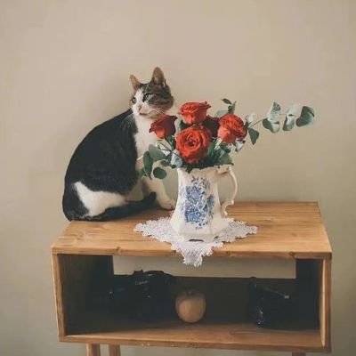 frashah82's profile picture. لا إله إلا أنت سبحانك إني كنت من الظالمين 🌸🍃.