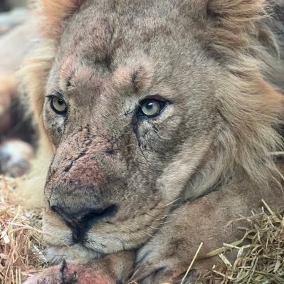 mickygar's profile picture. Father, husband, golf fanatic and Liverpool fan. Maidenhead, where else