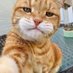 Me (@phonlop) Twitter profile photo Me (@phonlop) Twitter profile photo