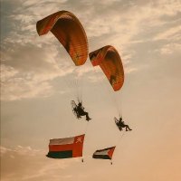 فلسطين حرة (@alhanoofsa86113) Twitter profile photo