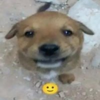 Lydius (@lydius33) 's Twitter Profile Photo Lydius (@lydius33) 's Twitter Profile Photo