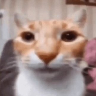 eze0053's profile picture. 