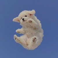 kina ☾⋆ (@woocultz) 's Twitter Profile