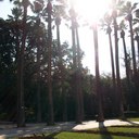 rupi kaur - @rupikaur111 - Twitter