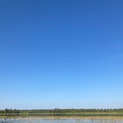 perothwell's profile picture. Account no longer active, find me in the sky