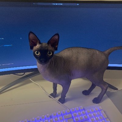 n1ma_dev's profile picture. Operations Lead @CyberlifeGG