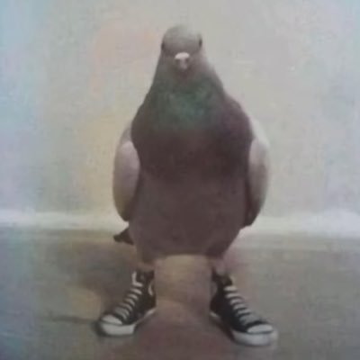 leo7_fr's profile picture. 