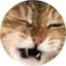 ごーごーぱんだ (@sxmjkmwlsx98006) Twitter profile photo ごーごーぱんだ (@sxmjkmwlsx98006) Twitter profile photo