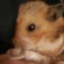 Jim (@baconcheesytoes) Twitter profile photo Jim (@baconcheesytoes) Twitter profile photo