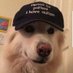 Stanford Mcullen (@transyaoilover) Twitter profile photo Stanford Mcullen (@transyaoilover) Twitter profile photo