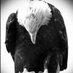 pk1926 (@1926pk) Twitter profile photo pk1926 (@1926pk) Twitter profile photo