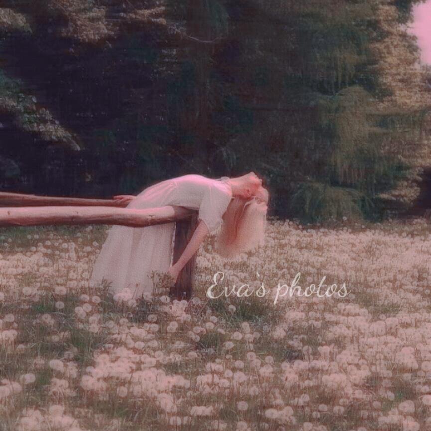 TarthewsULPXE's profile picture. Old habits die hard.