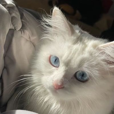 ji_ba39865's profile picture. 