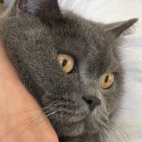 5aaldQ8 (@5aaldfnn) Twitter profile photo