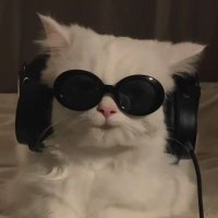 Luckshmi (@luckyog007) Twitter profile photo