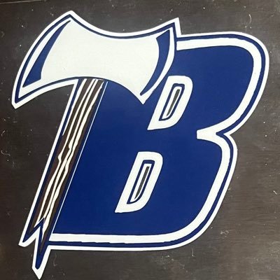 bemidjibaseball's profile picture. A bunch of great young men