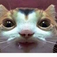 chezburgah412's profile picture. 21