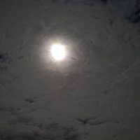 Marm (@marm358081) 's Twitter Profile