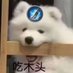 司南 (@owo28256) Twitter profile photo 司南 (@owo28256) Twitter profile photo
