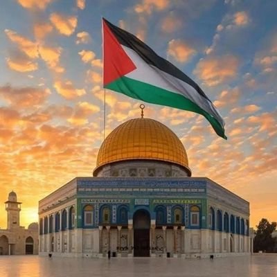 NaveedRazzaq131's profile picture. 💗 شُكر ٱلْحَمْدُ لِلَّٰهِ 💗